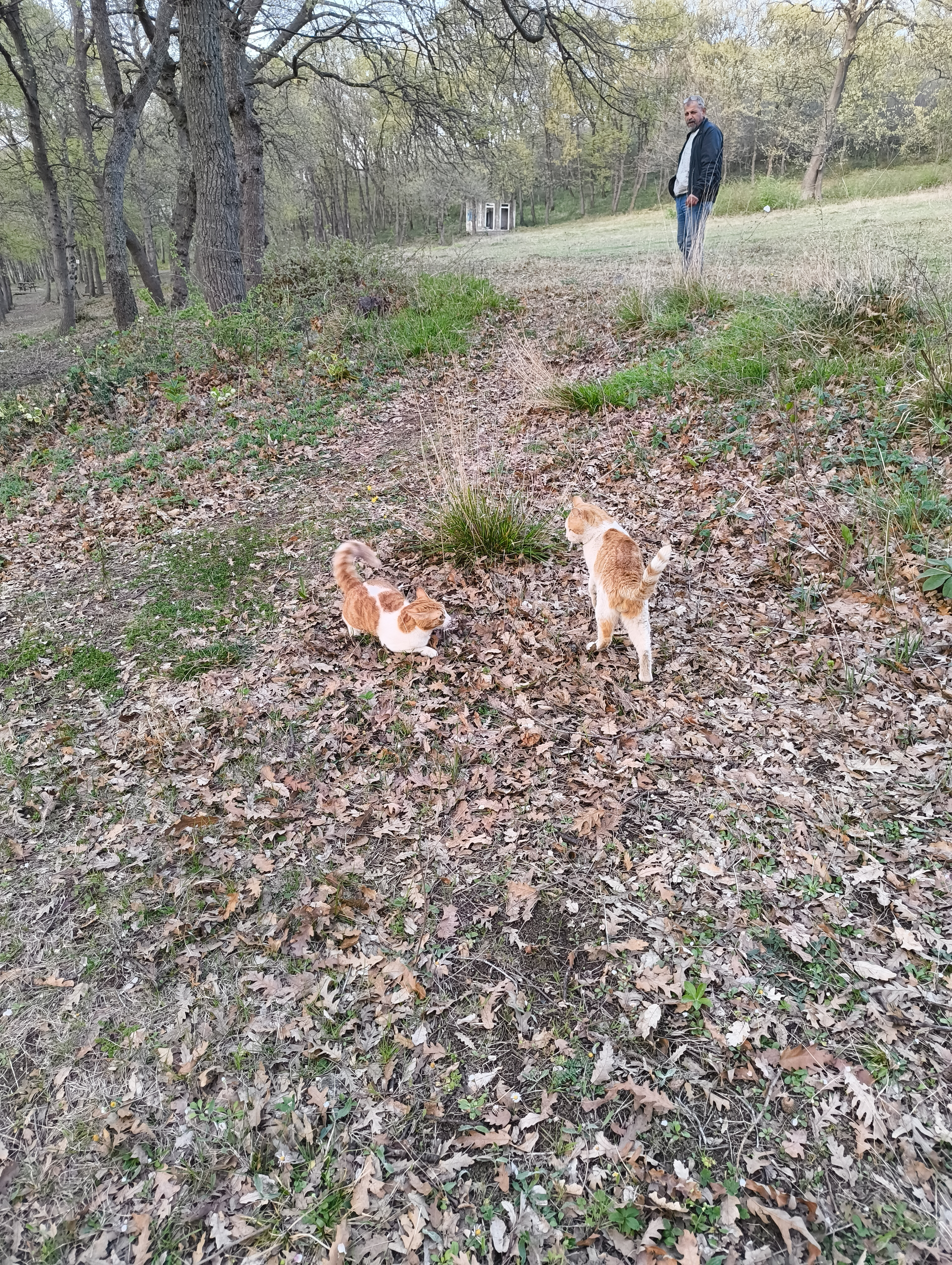 biber laid down on the floor at one point